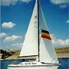 Photo of north american 23