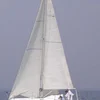 Photo of sagitta 30