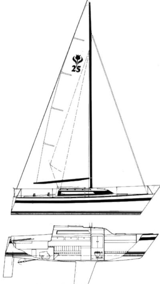 Contest 25 OC (Contest 250C)