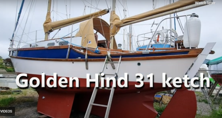 Golden Hind 31 Ketch