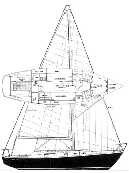 Hullmaster 31 / Alcona 31