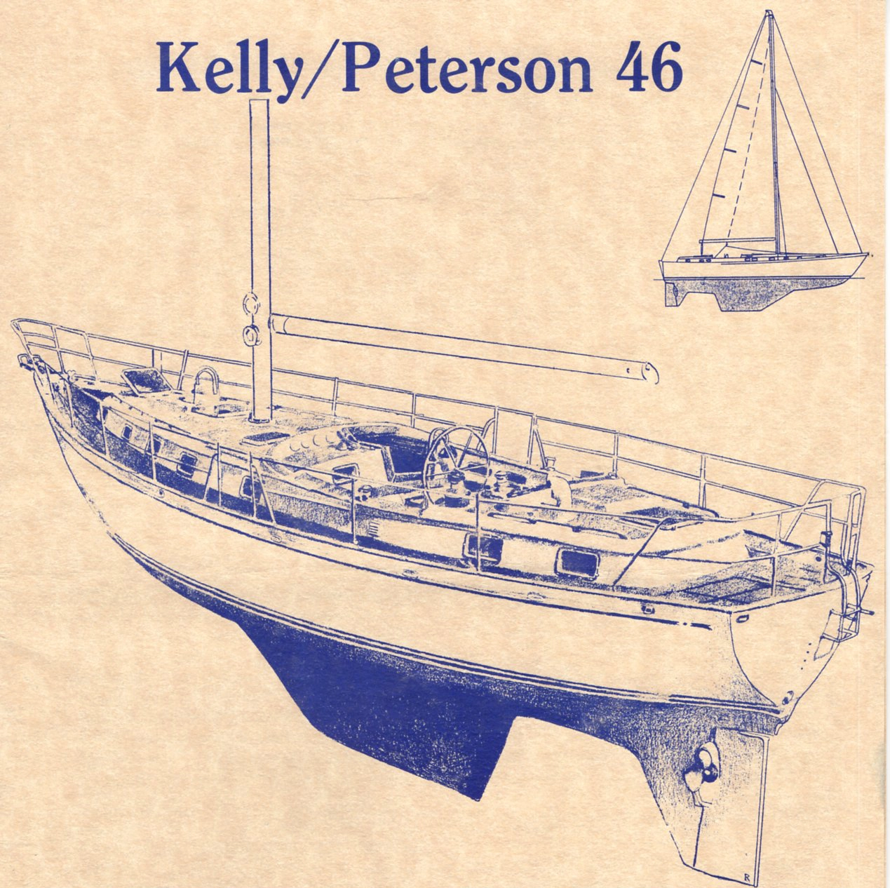 Kelly Peterson 46