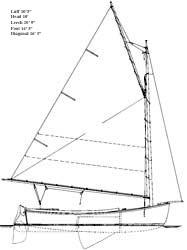 MARSH CAT BY JOEL WHITE