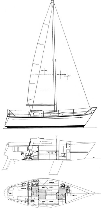 Paceship Chance 29/25
