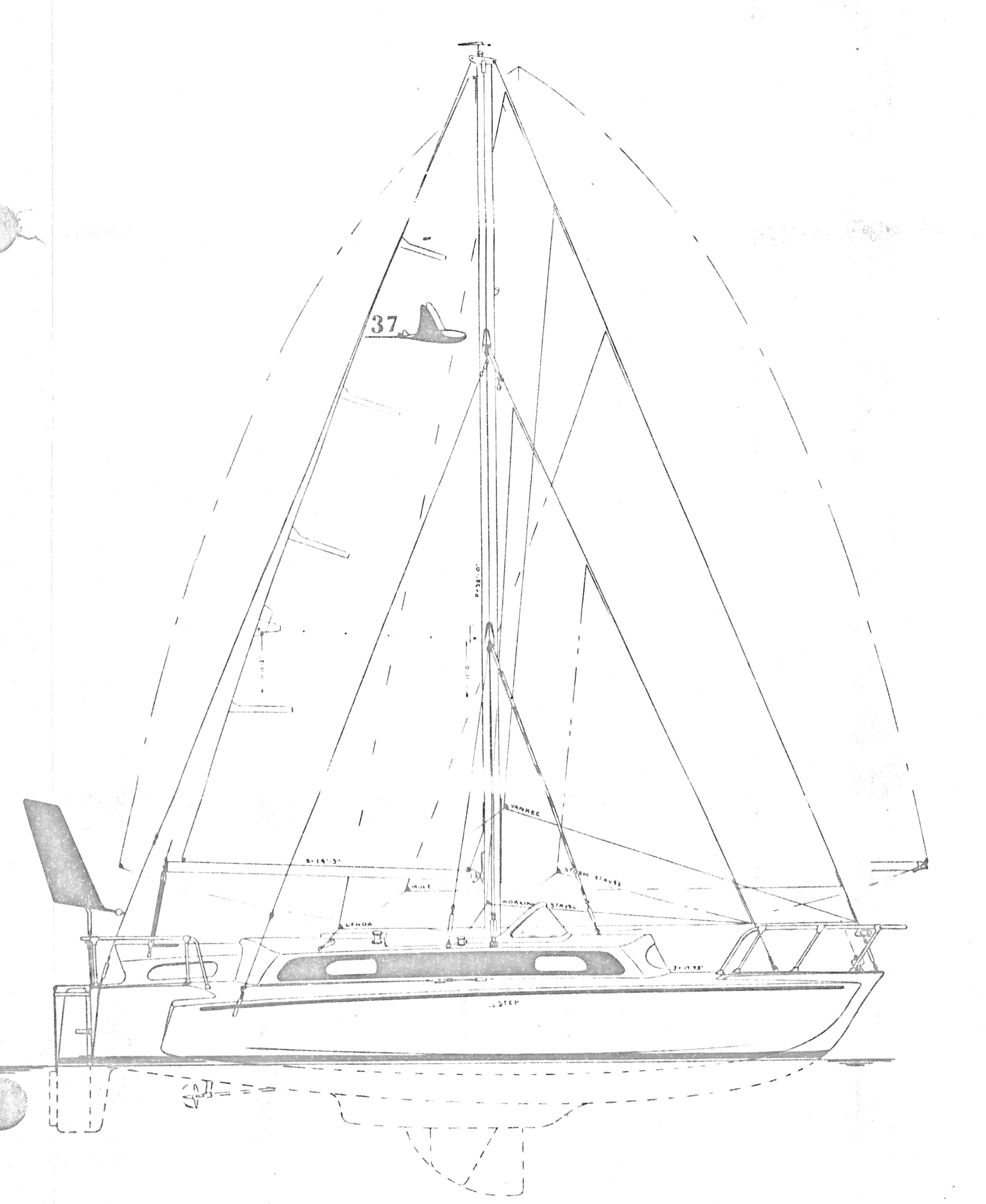 Brown Searunner Cutter 37