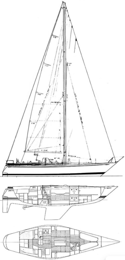 Swan 411