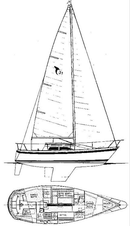 TANZER 31
