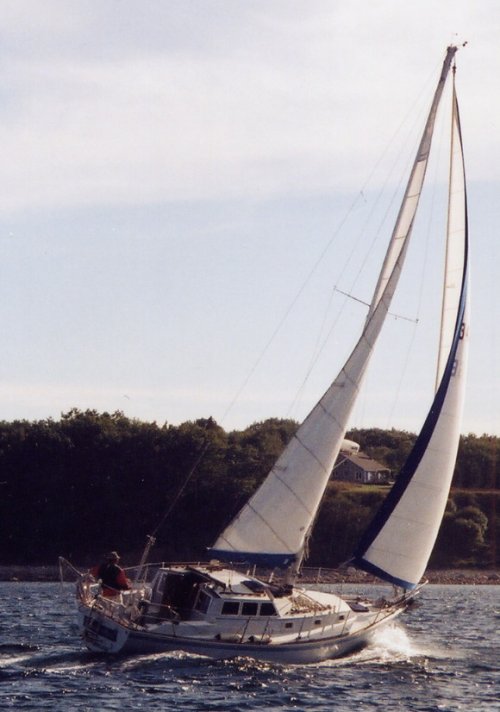Nautilus 36