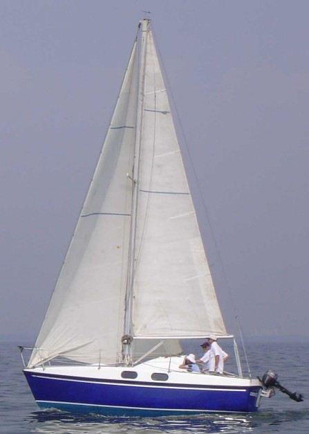sagitta 30