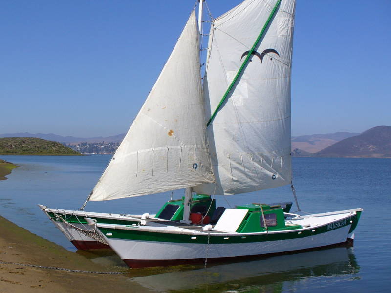 Wharram Hinemoa Catamaran (sprit rigged sloop)